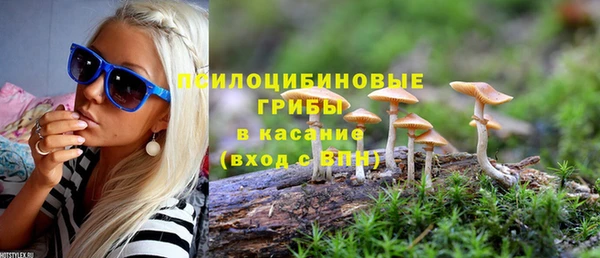 Альфа ПВП Касимов